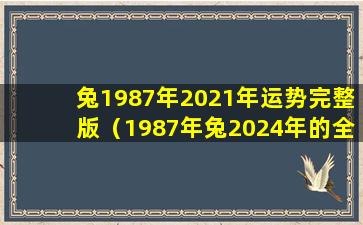 兔1987年2021年运势完整版（1987年兔2024年的全 🦉 年运势详解）